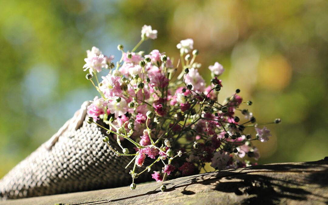 Afformationen haben Power